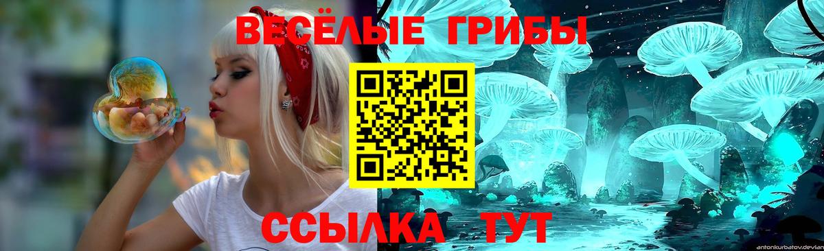 Чернушка  Галлюциногенные грибы мухоморы  что такое наркотик  Галлюциногенные грибы Psilocybe  Вход с VPN 